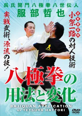 Bajiquan Application DVD by Tetsuya Hattori