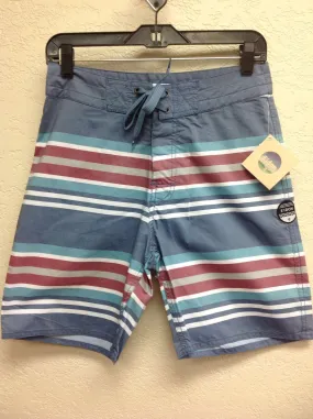 Eidon Striped Board Shorts