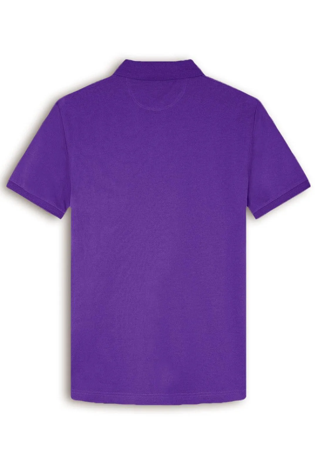 Men Purple Polo